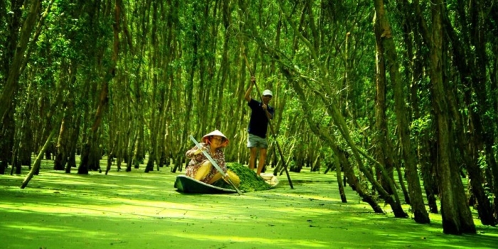Mekong delta – Tra Su bird sanctuary 3 Days
