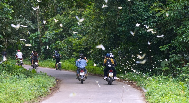 Hoa Lu – Tam Coc – Cuc Phuong national park by Motorbike 2 Days